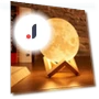 Moon Lamp — Lighting, ROYAL HANDICRAFT
