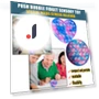 Sensory Bubble Toy — Blocks, rookiea