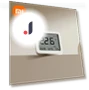 Smart LCD Bluetooth Thermometer — Home Climate Control, Xiaomi