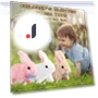 Smart Plush Bunny Toy — Interactive, Long nose