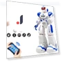 Intelligent Robot — Interactive Figures & Robots, electroicer