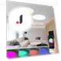 RGB LED Smart Ceiling Light — Smart Home Modules, Rainbow Rain