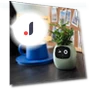 Smart Pot — Garden Planters, HOME-Auto-001