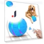 Automatic Rolling Ball Toy for Dogs — Automatic Launchers, yuezong