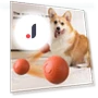 Interactive Smart Ball for Pets — Cat Playthings, yuezong