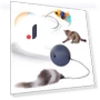Electric Cat Toy Ball — Cat Playthings, Challenge