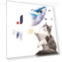 Interactive Flapping Wings Cat Toy — Cat Playthings, yuezong