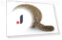 Robotherapy Pillow with Tail — Plushies, YRstudio