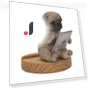 Tablet Viewing Pug Smartphone Stand — Stands, Arkadia Japan
