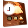 Adorable Rabbit Night Light with Timer — Night Lights, Pleasure Holiday
