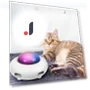 Automatic Cat Toy — Cat Playthings, TOMTOP JMS