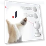 Rechargeable Interactive Laser Toy for Cats — Cat Playthings, TOMTOP JMS