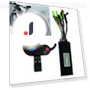 Sinusoidal Controller — Motors, Hobby & Sport