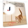 Automatic Laser Cat Toy — Cat Playthings, PetGuider