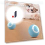 Interactive Ball for Cats and Dogs — Cat Playthings, BC Pet Supplies