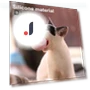 Interactive Cat Ball — Cat Playthings, Kitty Cat House