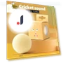 Interactive Cat Toy Ball — Cat Playthings, Pet Zooo