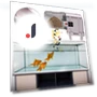 Smart Automatic Fish Feeder — Feeders, odeer
