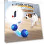 Smart Interactive Toy Ball for Dogs — Automatic Launchers, Exquisite pets