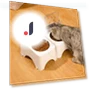 Smart Pet Feeding Bowl — Automatic Feeders, Cosy Homes