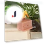 Smart Press Type in Bird Shape — Toothpick Holders, Daydreamer