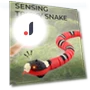 Smart Snake Toys for Cats — Cat Playthings, Love Valley