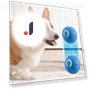 Automatic Moving Dog Toy Ball — Balls, Home selection