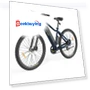 Electric Bike — Electric Self-Balancing Scooters, Eleglide
