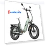 Polar Electric Bike — E-Bikes, Fafrees