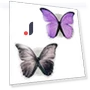 Smart Talking Butterfly Set — Interactive Animal Companions, Board M Factory