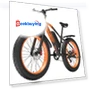 Electric Bike — E-Bikes, GOGOBEST