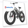 Electric Bike — E-Bikes, GOGOBEST