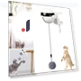 Electric Automatic Lift Ball for Cats — Cat Playthings, COOKING-MALL