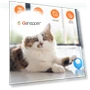 Intelligent pet cat toy ball — Cat Playthings