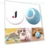 Automatically Moving Jumping Rolling Ball — Cat Playthings, BC Pet Supplies