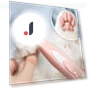 Electric Pet Grooming Trimmer — Hair Clippers, Yiran Furniture