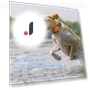 GPS Pet Tracker Collar — Trackers, zhenmiaoxiang