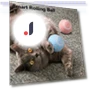 Interactive Cat Toy Ball — Cat Playthings, Pets Home