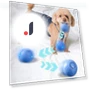 Interactive Cat Toy Ball — Cat Playthings, Pets Home