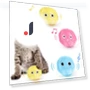 Interactive Cat Toy Ball — Cat Playthings, BC Pet Supplies