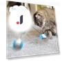 Interactive Cat Toy — Cat Playthings, TOMTOP JMS