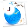 Interactive Smart Ball Toy for Pets — Balls, Yiran Furniture