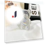 Rainbow Bear Smart Talk — Interactive, Board M Factory