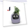 Smart Pot Ivy — Garden Planters, Tuya
