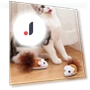 Classic Smart Running Mouse — Mice & Animals, Cuperay