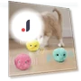 Interactive Cat Toy Ball — Cat Playthings, Ding Dong Fashion