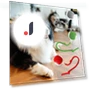Interactive Lettuce Rolling Ball Toy — Interactive Animal Companions, Chicago Rose