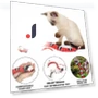 Interactive Pet Toy — Interactive Animal Companions, cosmall