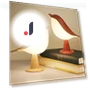 LED Night Light — Night Lights, ZCHUA