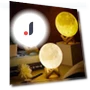 Moon Lamp with Wooden Base — Lighting Accessories, Schoolyard